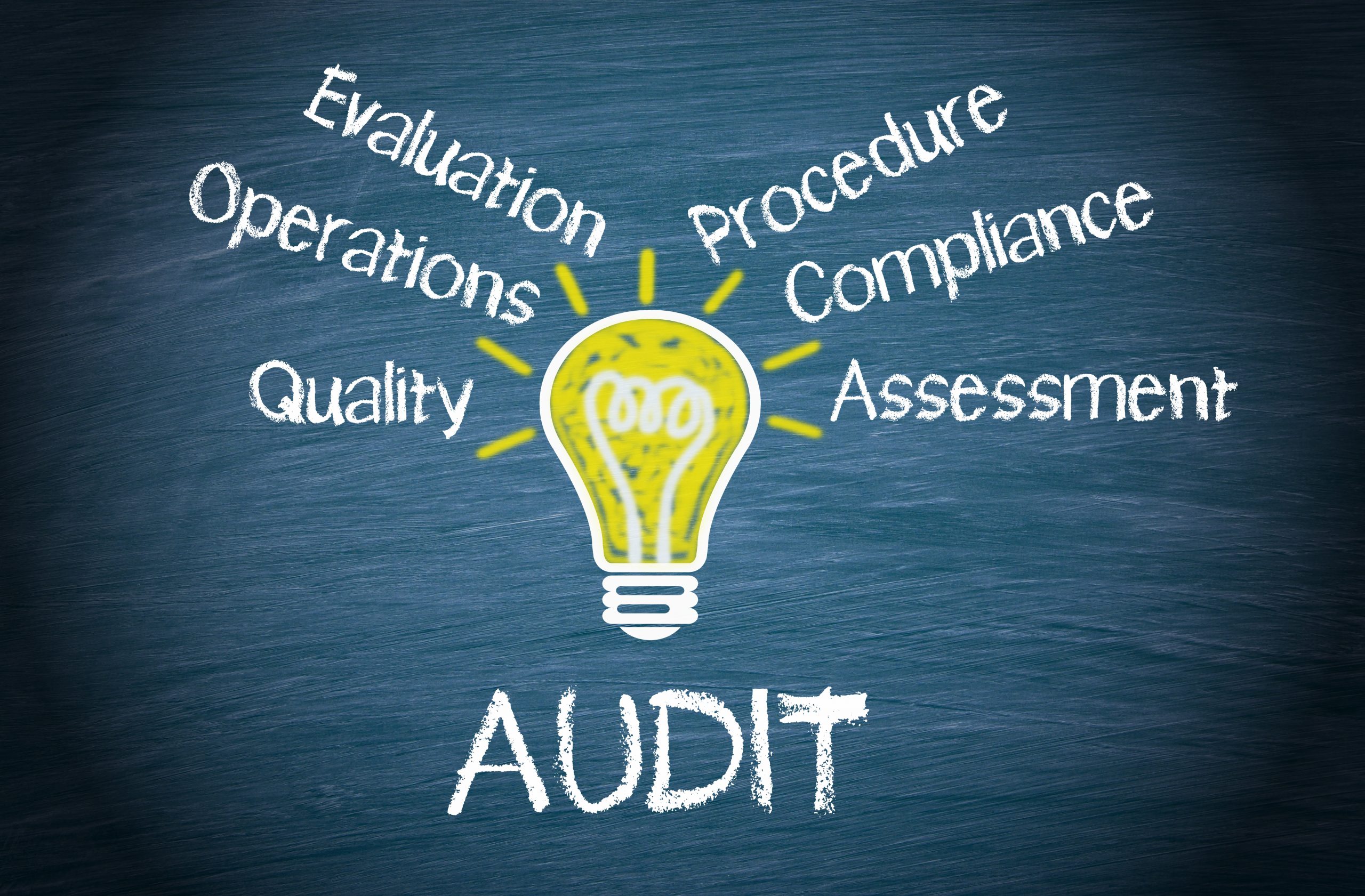 3. Audits and Inspections